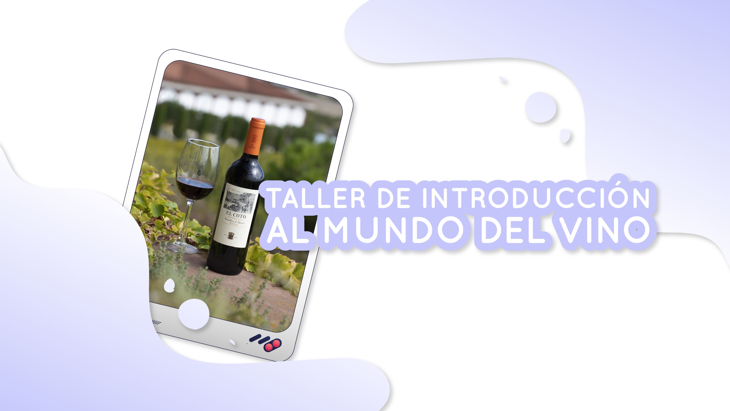 Introducción al mundo del vino